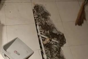 聂拉木卫生间漏水检测电话